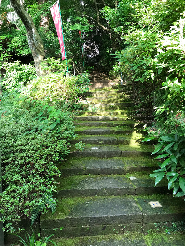 山代温泉薬王院温泉寺