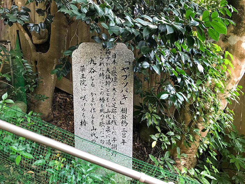 山代温泉薬王院温泉寺