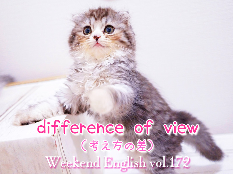週末英語（weekend english）考え方の差（difference of view）