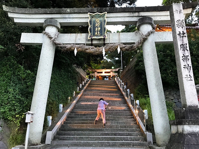 山代温泉ライトアップ服部神社