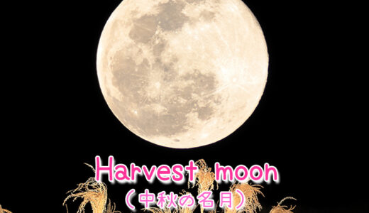 「中秋の名月」は英語で「Harvest moon」ちなみに中秋の名月は満月とは限らないよ