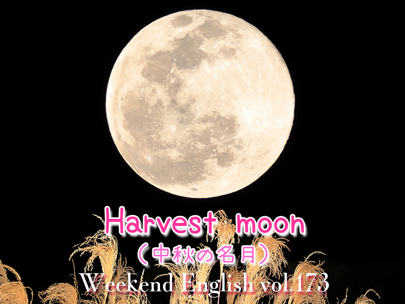 週末英語（weekend english）中秋の名月（harvest moon）