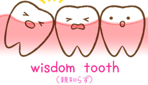 【週末英語#175】親知らずは英語で「wisdom tooth」