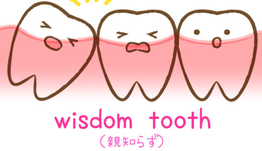 【週末英語#175】親知らずは英語で「wisdom tooth」と言う
