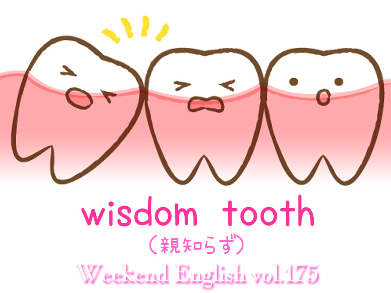 週末英語（weekend english）親知らず（wisdom tooth）