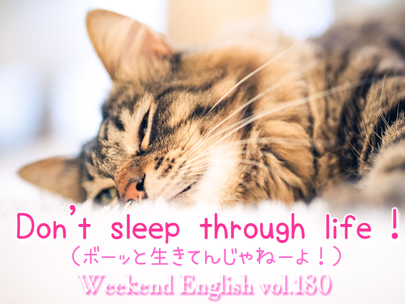 週末英語（weekend english）ボーッと生きてんじゃねーよ！（Don't sleep through life）