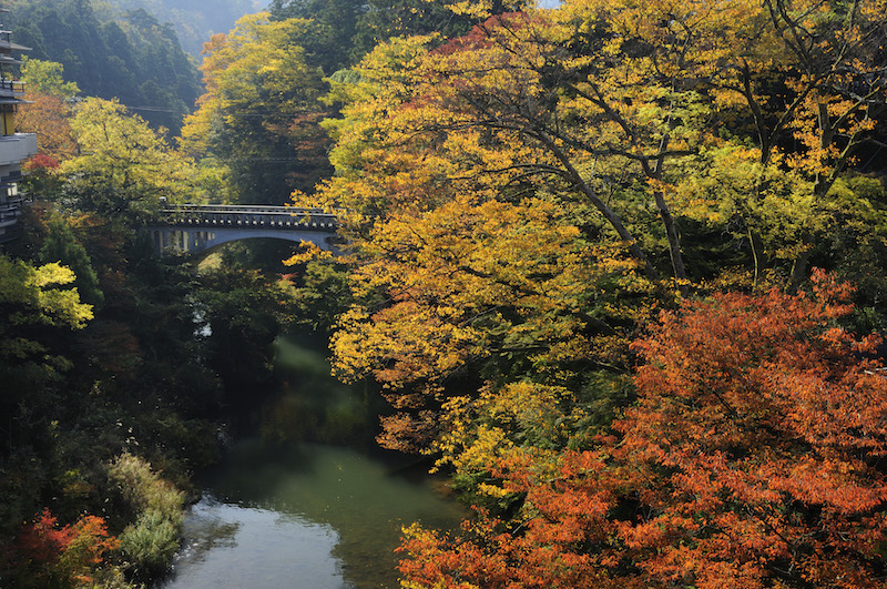 山中温泉黒谷橋