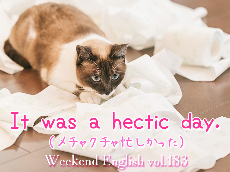 週末英語（weekend english）メチャクチャ忙しかった（It was a hectic day.）