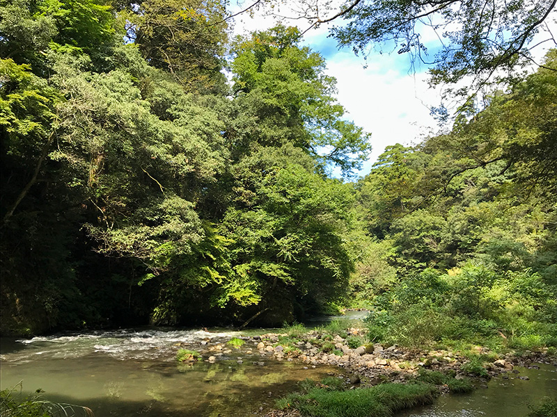 山中温泉鶴仙渓