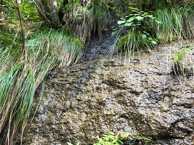 山中温泉鶴仙渓