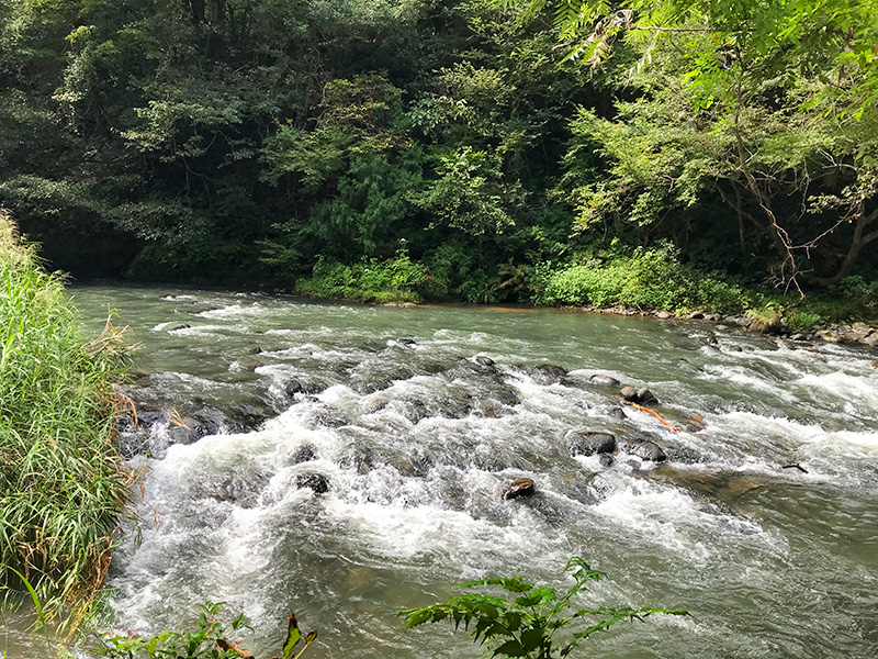 山中温泉鶴仙渓