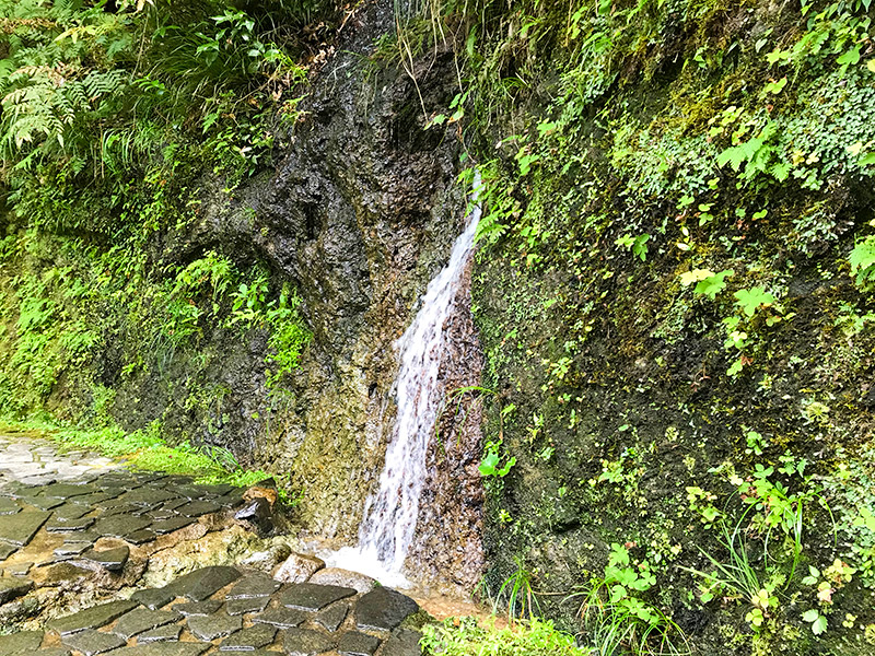 山中温泉鶴仙渓