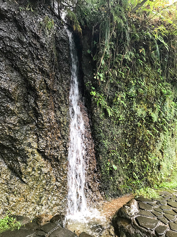 山中温泉鶴仙渓