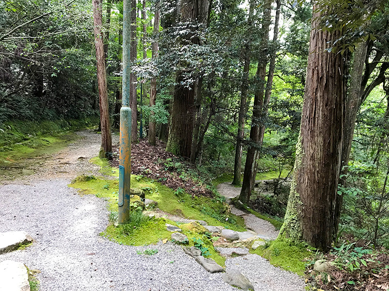 山中温泉鶴仙渓