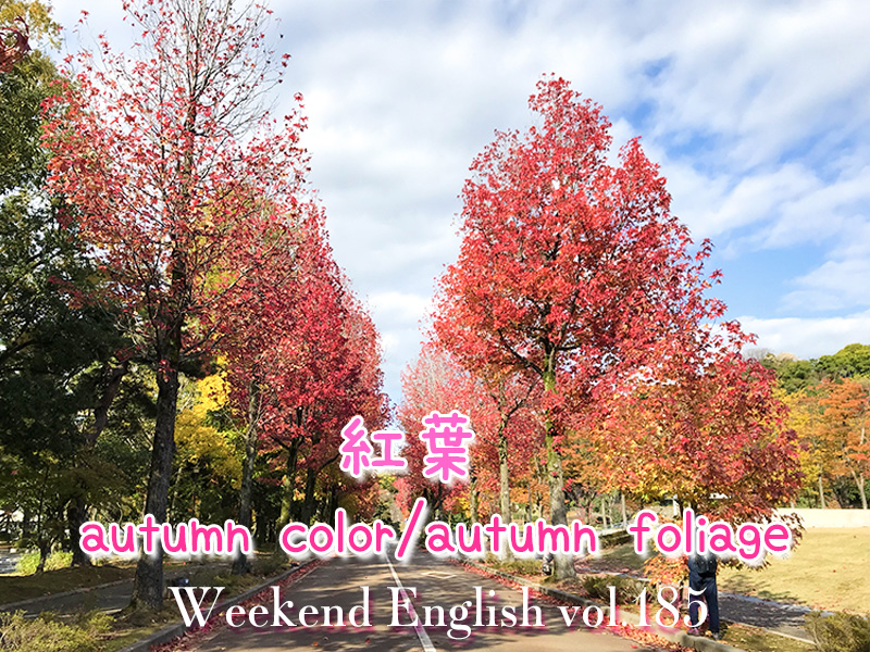 週末英語（weekend english）紅葉（autumn foliage）