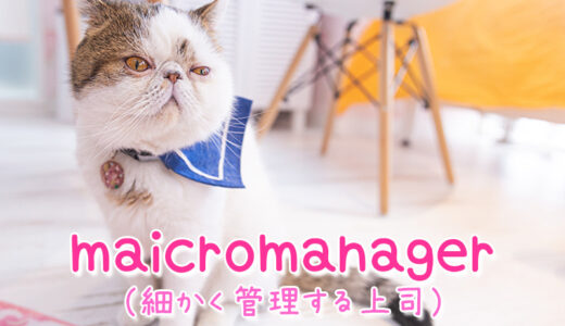 【週末英語#186】仕事で細かく管理してくる上司を「micromanager」と言う