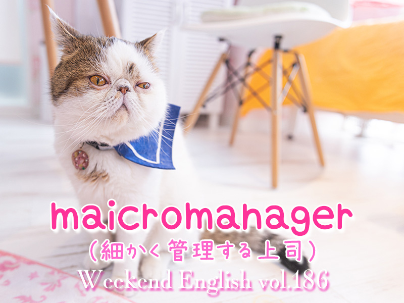 週末英語（weekend english）細かく管理してくる上司（micromanager）