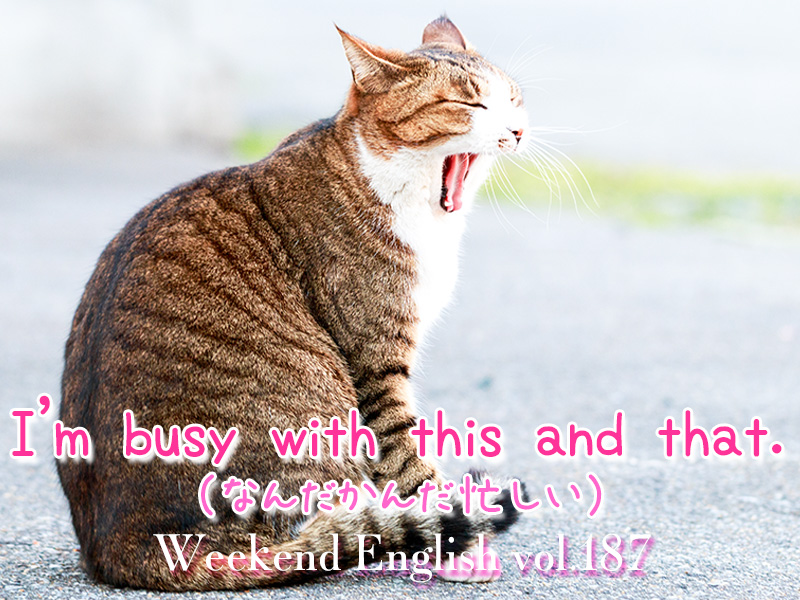 週末英語（weekend english）なんだかんだ忙しい（I'm busy with this and that.）