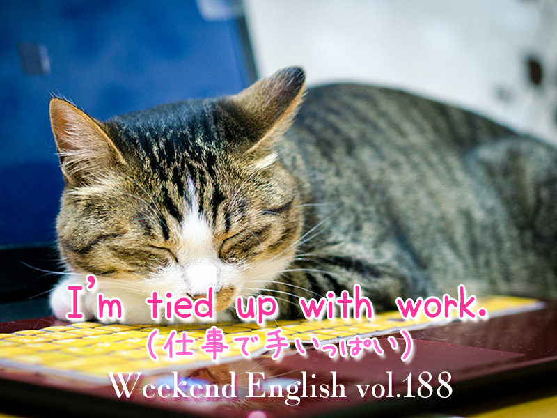 週末英語（weekend english）仕事で手いっぱい（I’m tied up with work.）