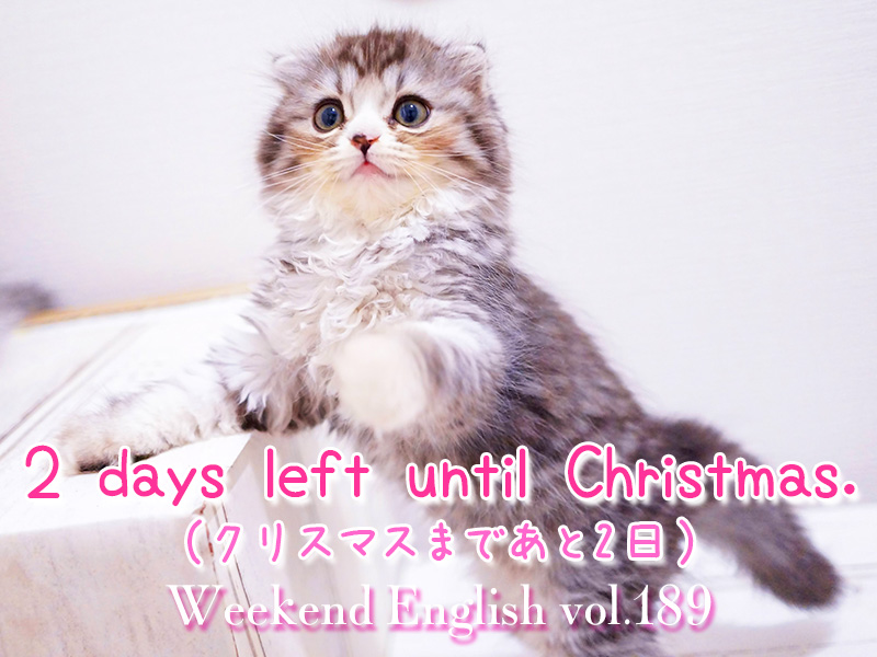 週末英語（weekend english）クリスマスまであと2日（2 days left until Christmas.）