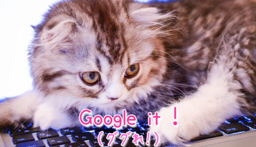 【週末英語#190】ググれは英語で「Google it !」発音もなんとなく似てる