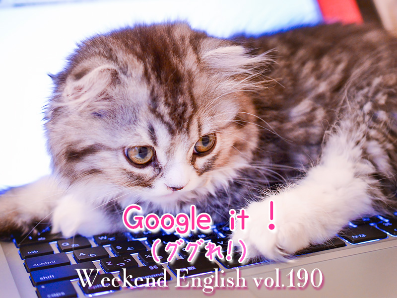 週末英語（weekend english）ググれ（Google it）