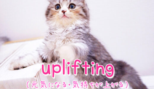 【週末英語#191】「uplifting」は「元気になる・気持ちが上がる◯◯」という意味で使える