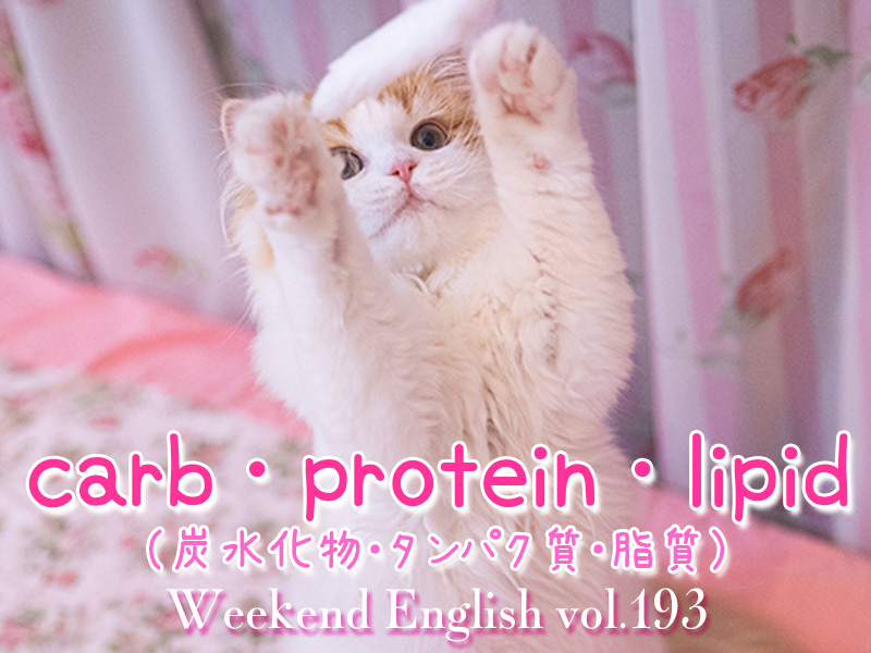 週末英語（weekend english）炭水化物・タンパク質・脂質（carb・protein・lipid）