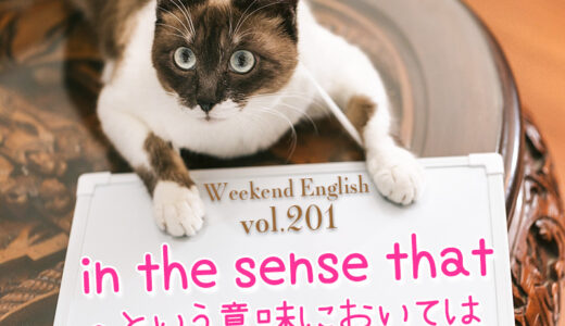 【週末英語#201】「in the sense that 〜」は「〜という意味においては」という意味