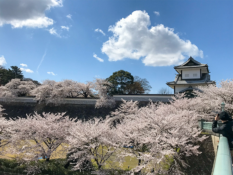 金沢城公園・石川門（重要文化財）