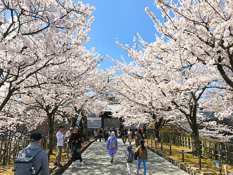 金沢城公園・石川門（重要文化財）