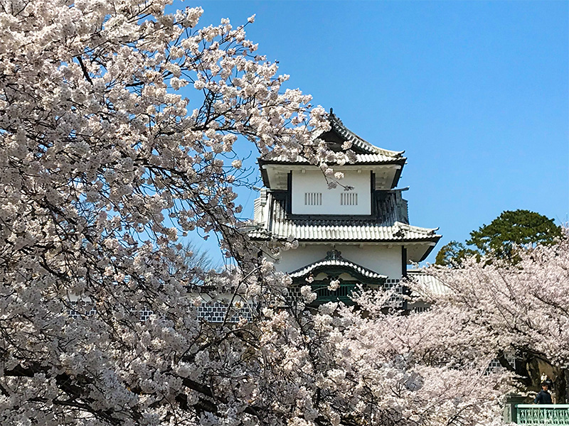 金沢城公園・石川門（重要文化財）