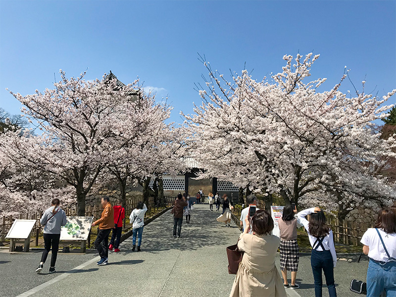 金沢城公園・石川門（重要文化財）