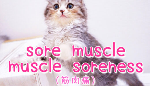 英語で『筋肉痛』は「muscle pain」よりも「sore」を使う方が自然