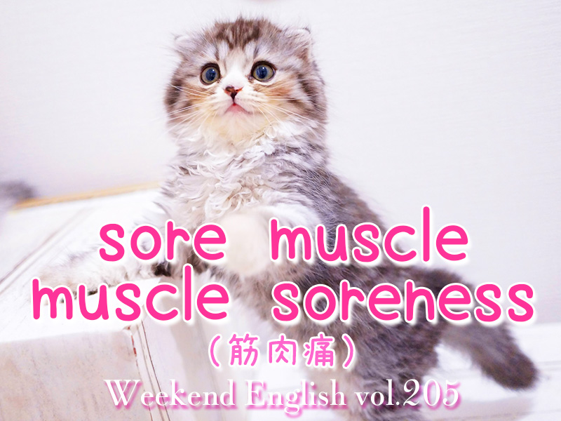 週末英語（weekend english）筋肉痛（sore muscle muscle soreness）