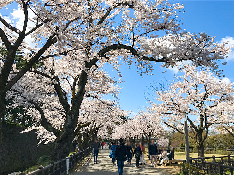 金沢城石垣めぐり二の丸北面