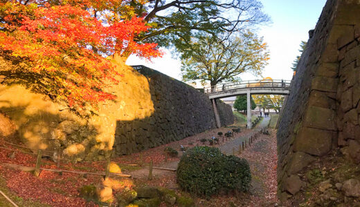 【金沢城石垣めぐり】極楽橋下の空堀には石垣に付けられたたくさんの刻印が見れるよ