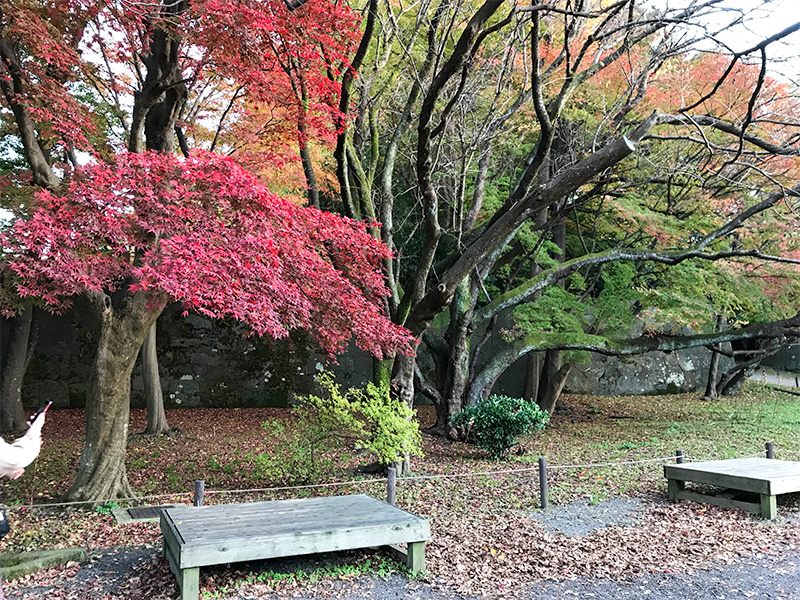 金沢城石垣めぐり鉄門