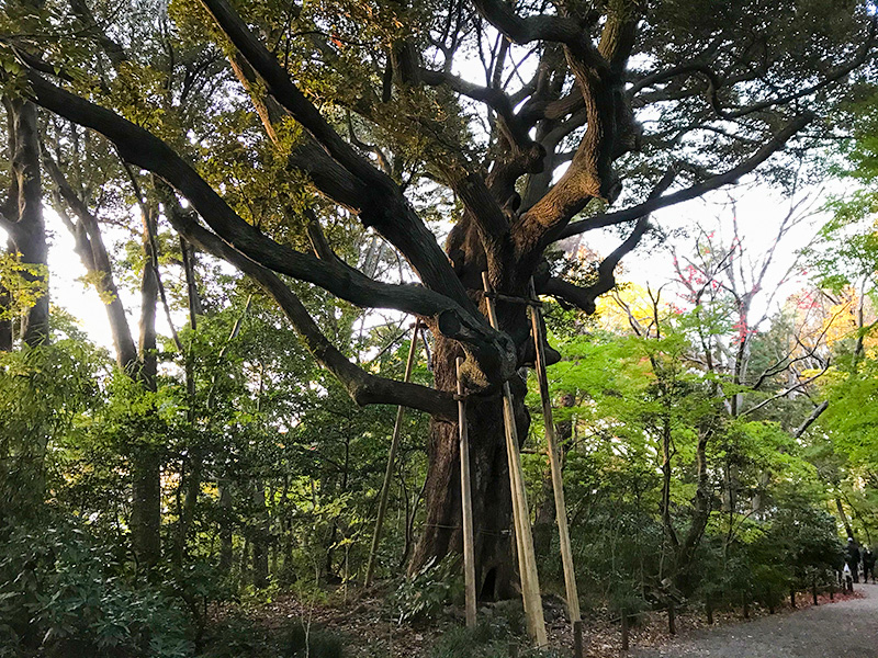 金沢城本丸園地