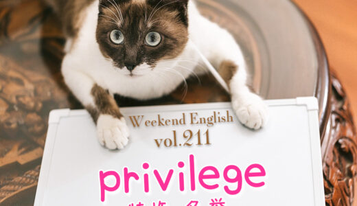 【週末英語#211】あらたまった挨拶の場などで使われる「privilege」は「特権・名誉」という意味