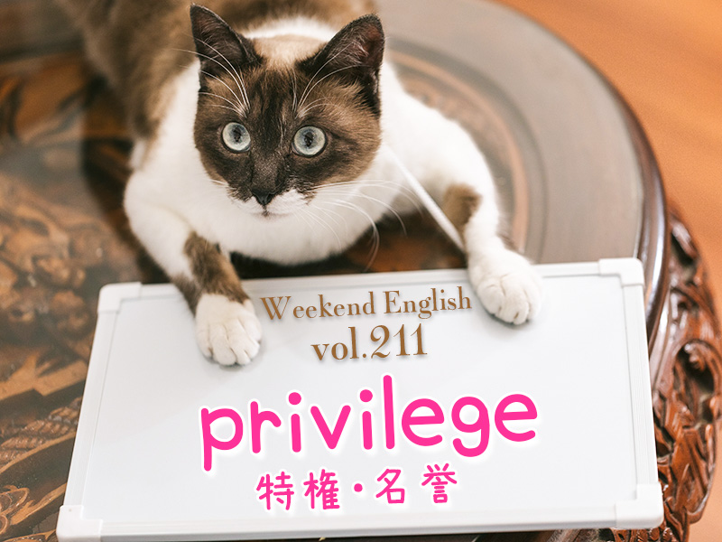 週末英語（weekend english）privilege（特権・名誉）