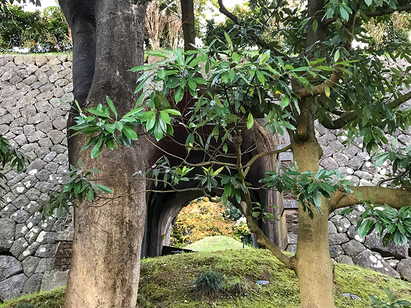 金沢城旧陸軍レンガ造りのトンネル