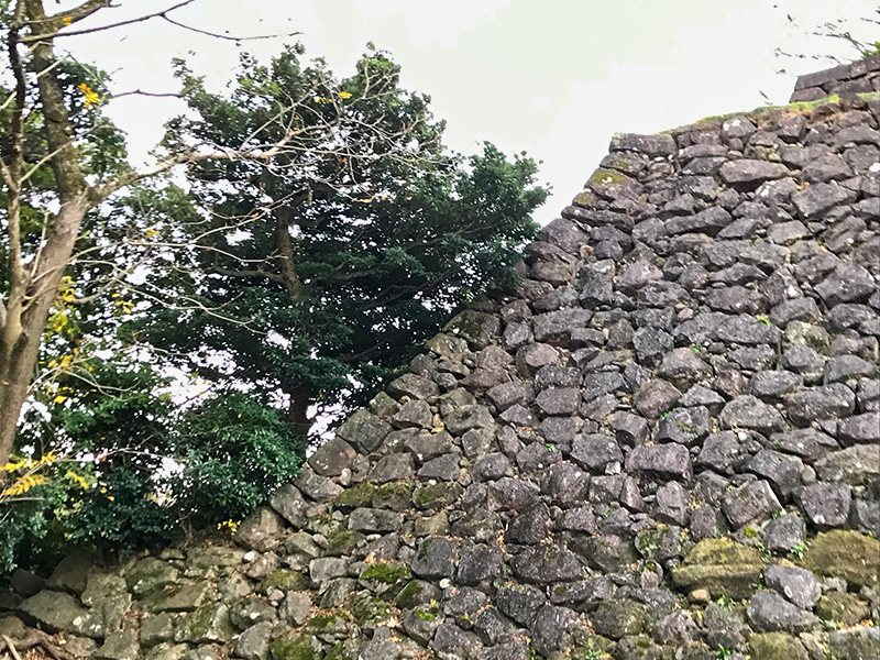 金沢城東の丸北面石垣