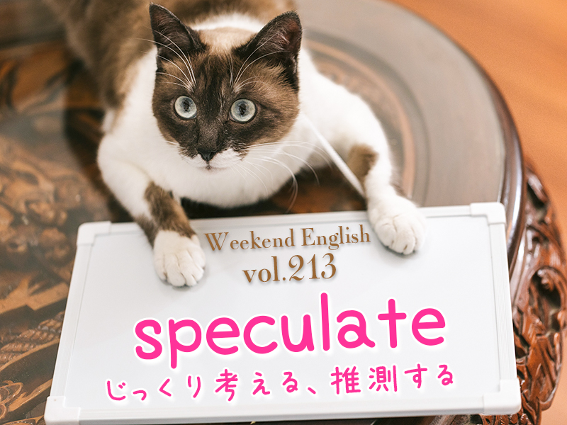 週末英語（weekend english）speculateはじっくり考える・推測する