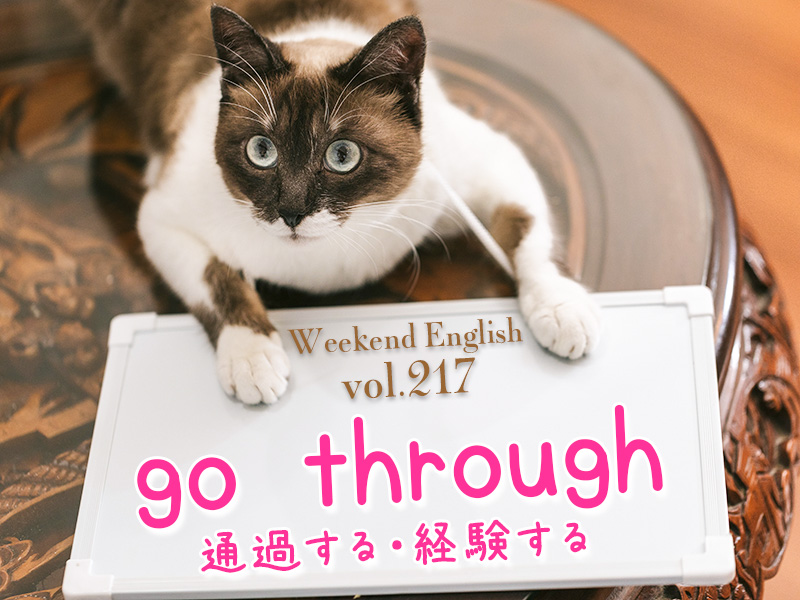 週末英語（weekend english）go through（通り抜ける・経験する）