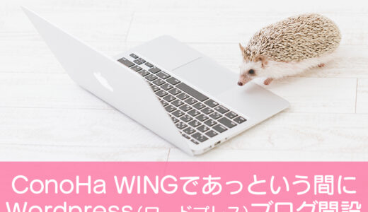 ConoHa WINGであっという間にWordPress（ワードプレス）ブログ開設