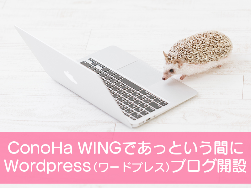 ConoHaWINGであっという間にWordPress（ワードプレス）ブログ開設