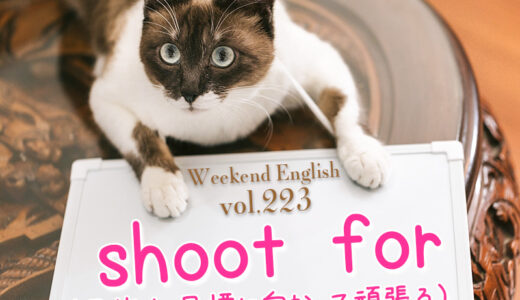 【週末英語#223】「shoot for」には「目標に向かって頑張る・目指す」という意味がある