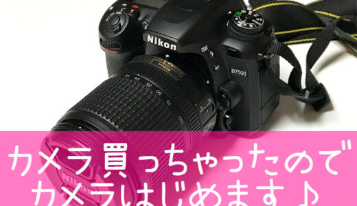 【カメラ】Nikonの一眼レフカメラを買ってしまったので、カメラはじめます！