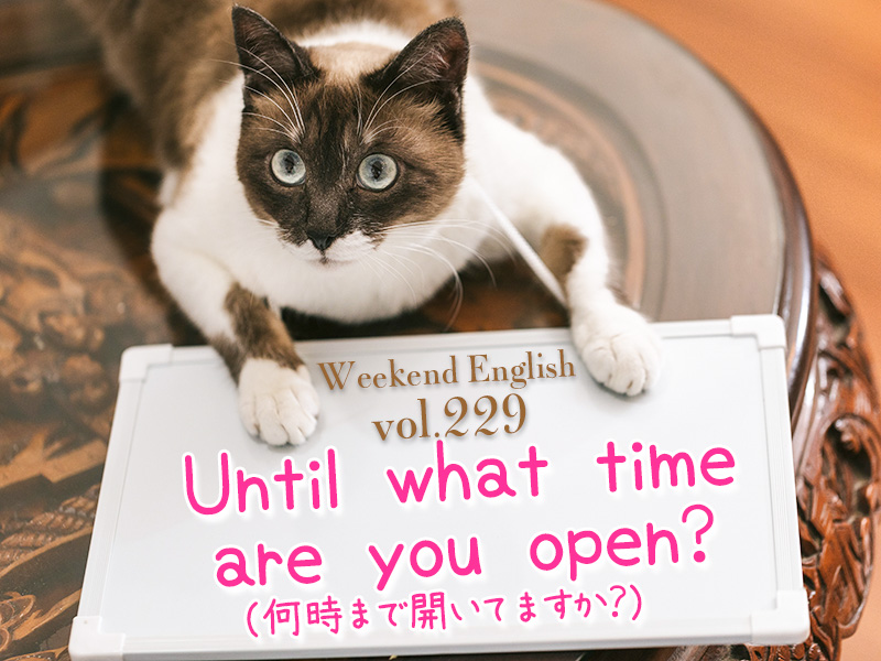 何時まで開いてますか（Until what time are you open?）週末英語（weekend english）